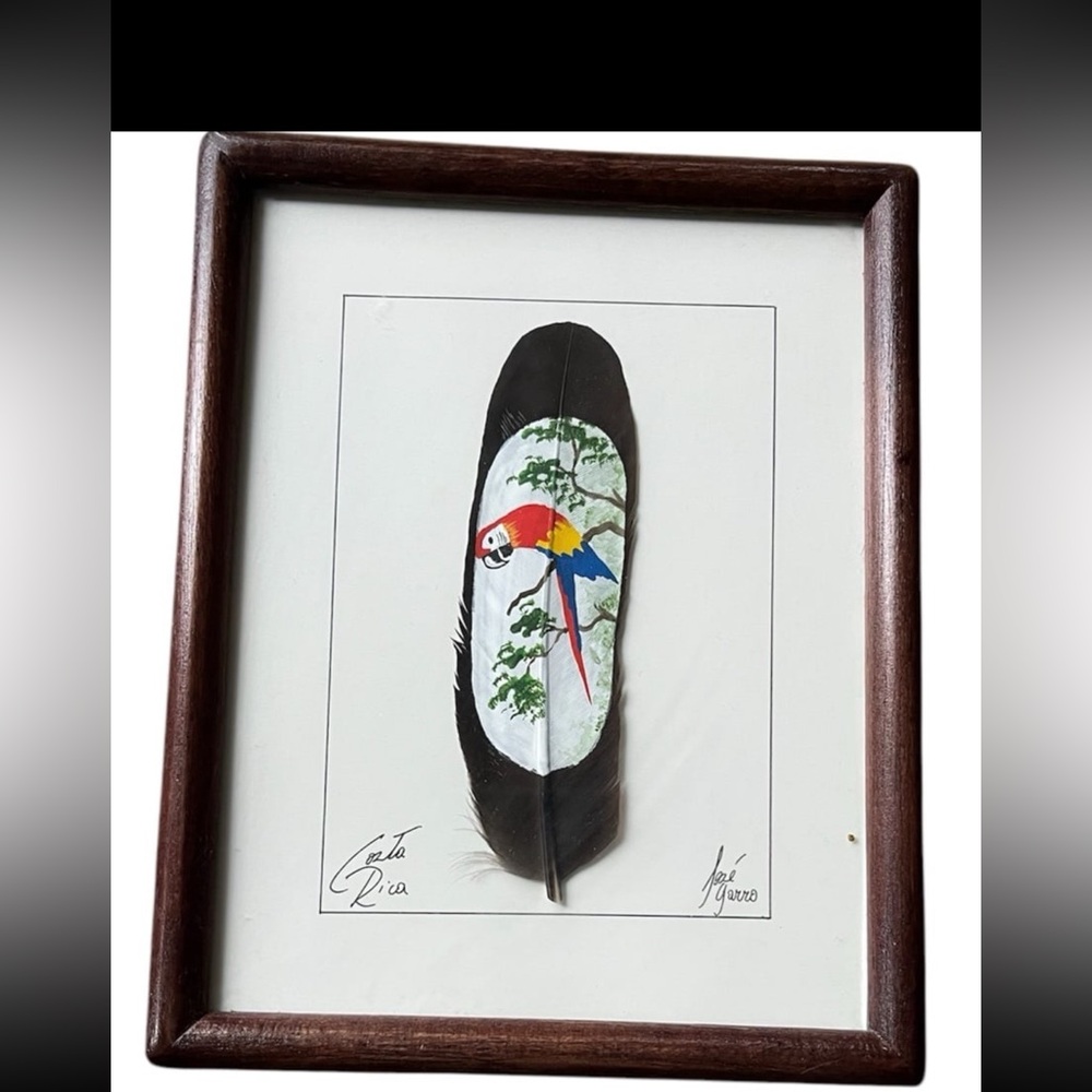 Hand-Painted Parrot Feather Art in Wooden Frame